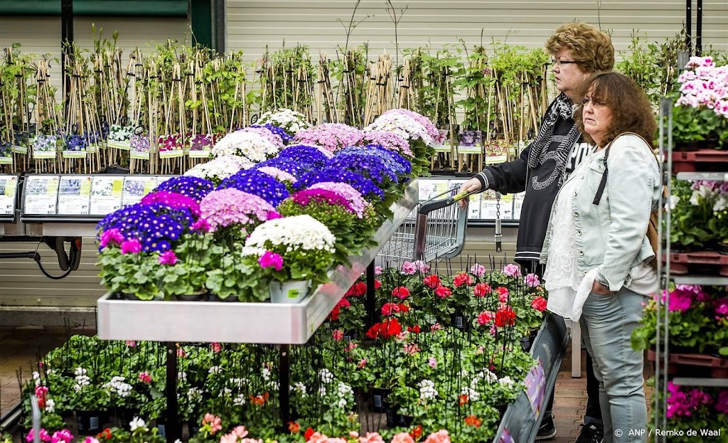 Steekproef: te veel bestrijdingsmiddelen op planten tuincentra