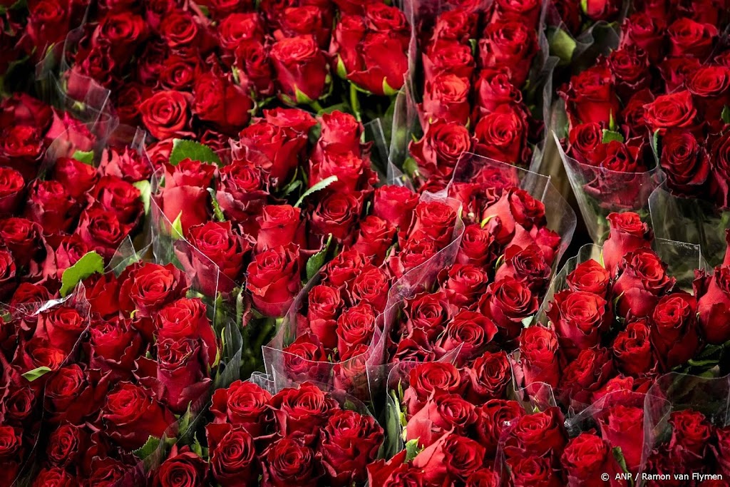 FloraHolland: 8 miljoen minder rozen verkocht voor Valentijn