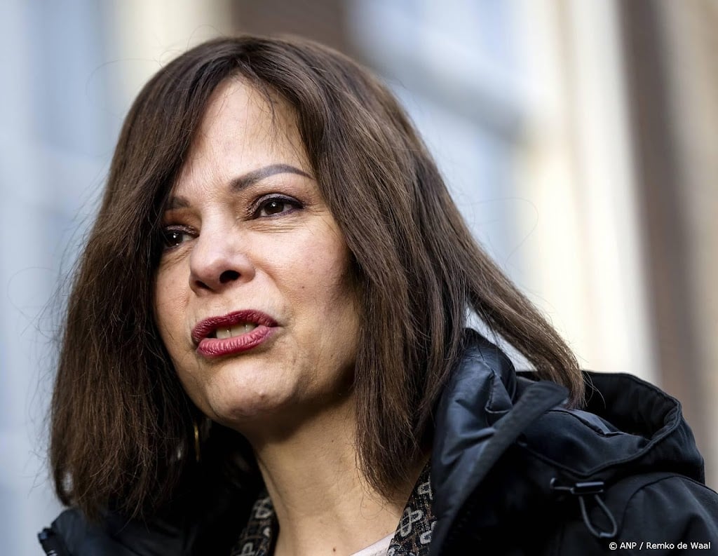 Palmen verwacht dat werken met minderheidskabinet niet anders is