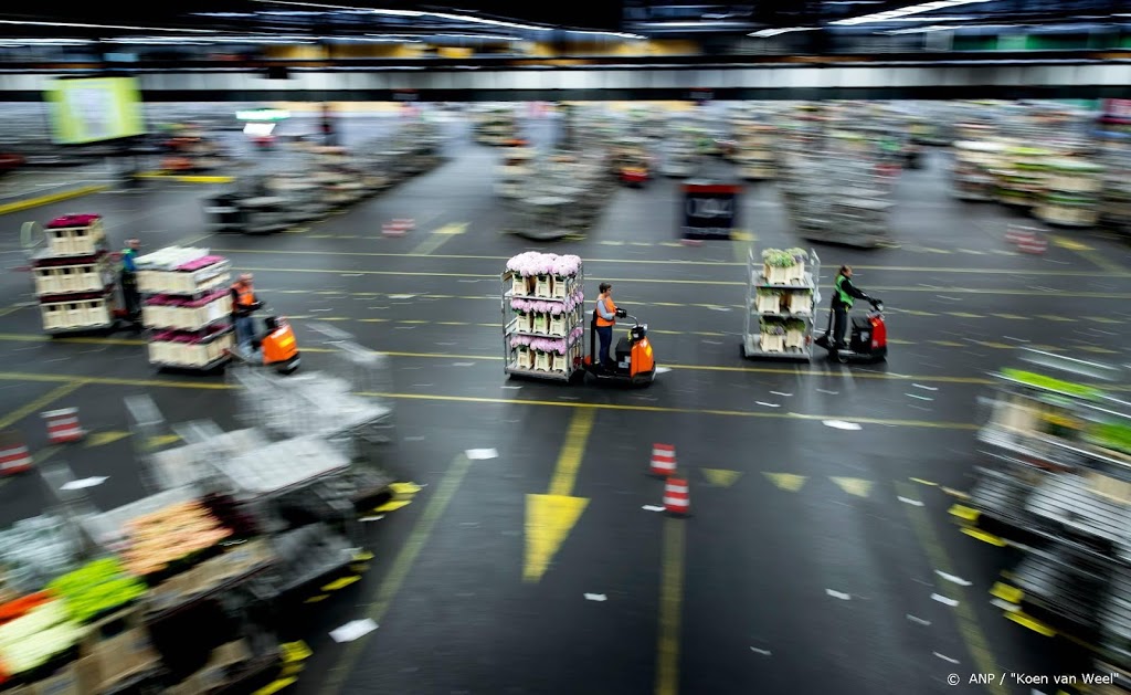 FloraHolland stelt grens aan aanvoer van bloemen en planten