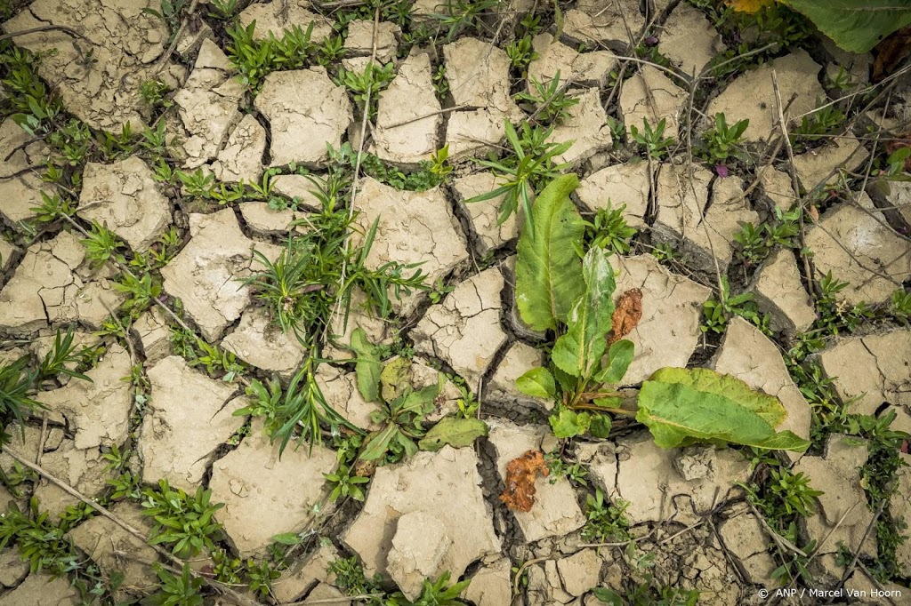 Hitte en droogte laatste jaren ergste in 2000 jaar