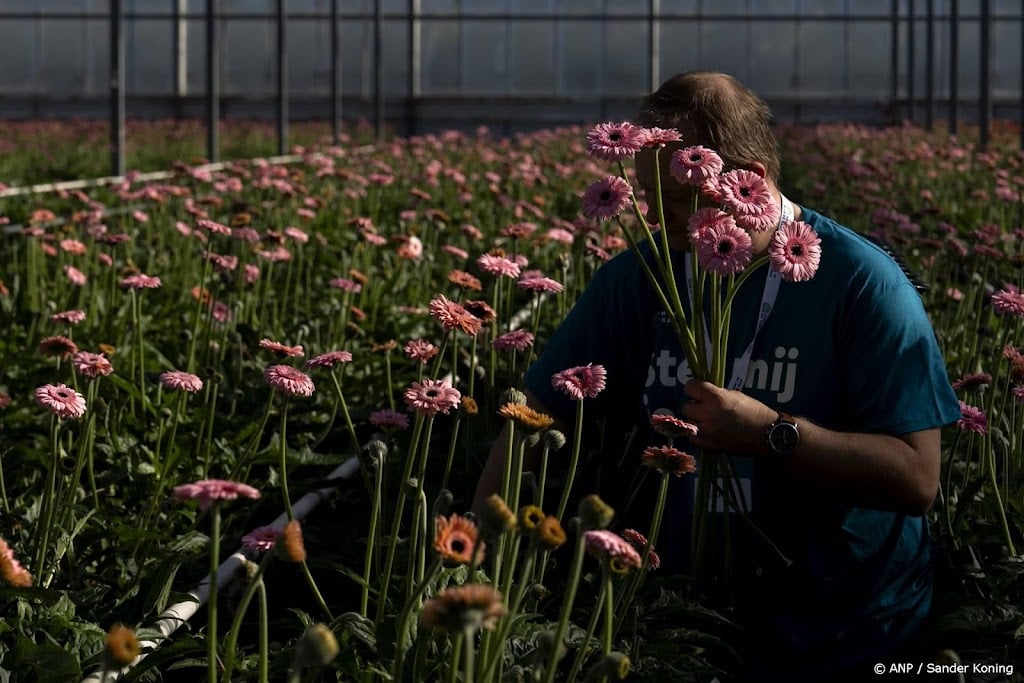 Nederlandse export kent zwakste groei in meer dan half jaar