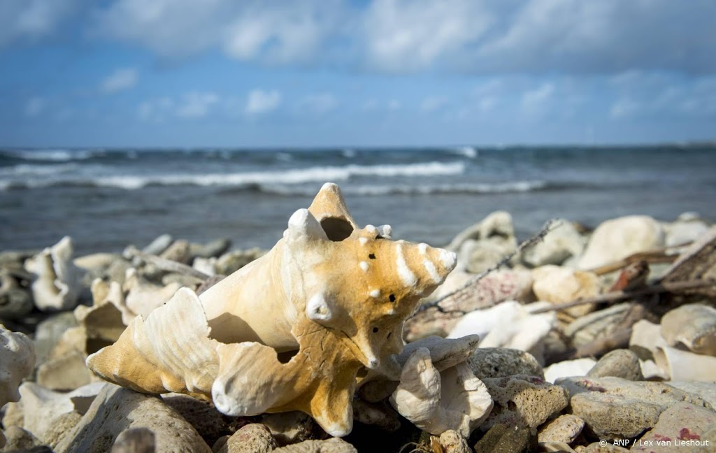 Bonaire begint voorzichtig met versoepelen coronamaatregelen