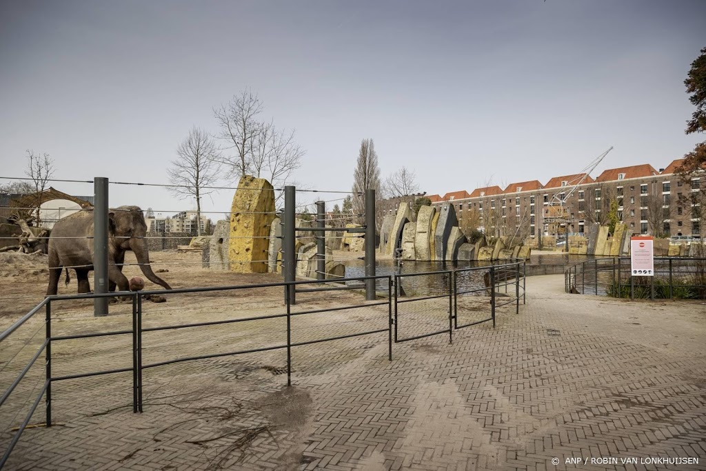 Artis na vijf maanden weer open: mensen zijn blij