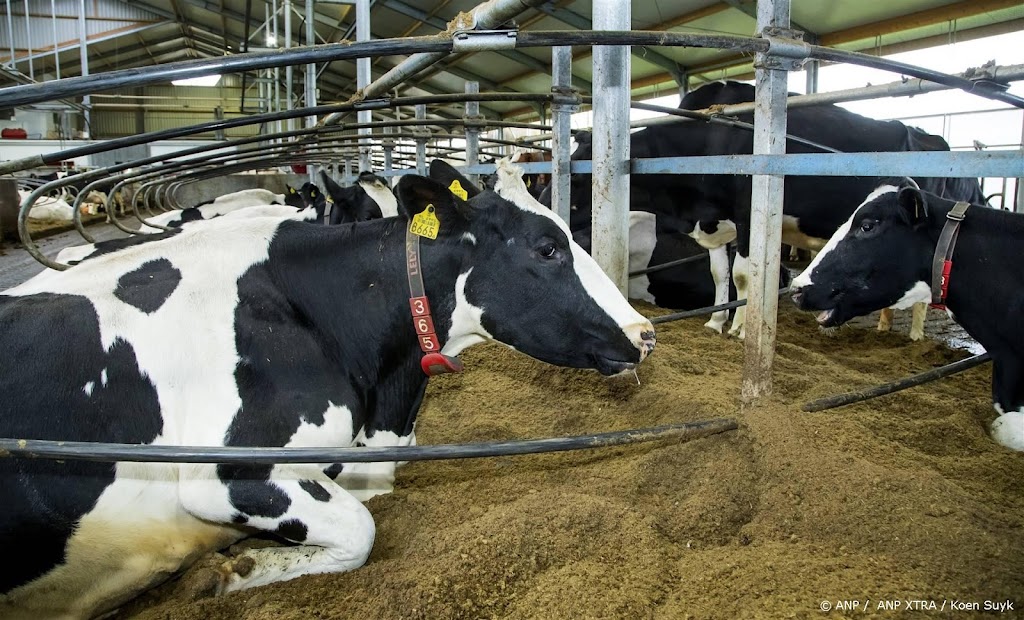 Geen gedwongen krimp veestapel of onteigening, staat in akkoord