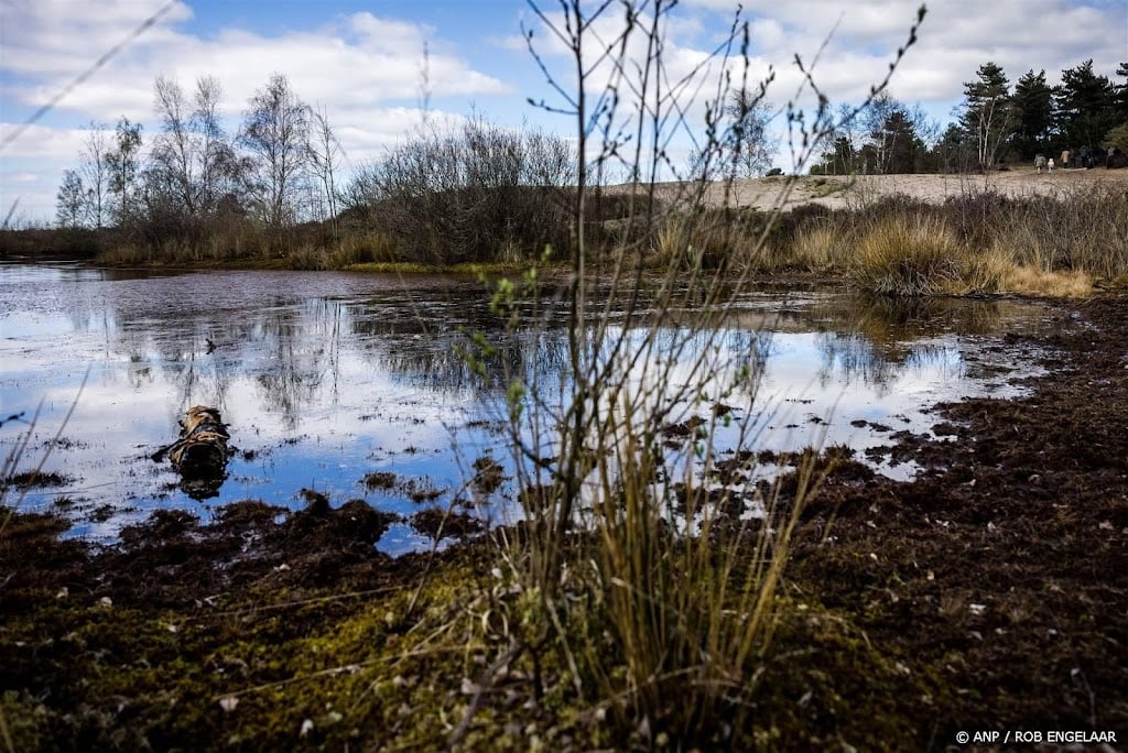 Natuurorganisaties: kabinet kiest voor verslechtering natuur