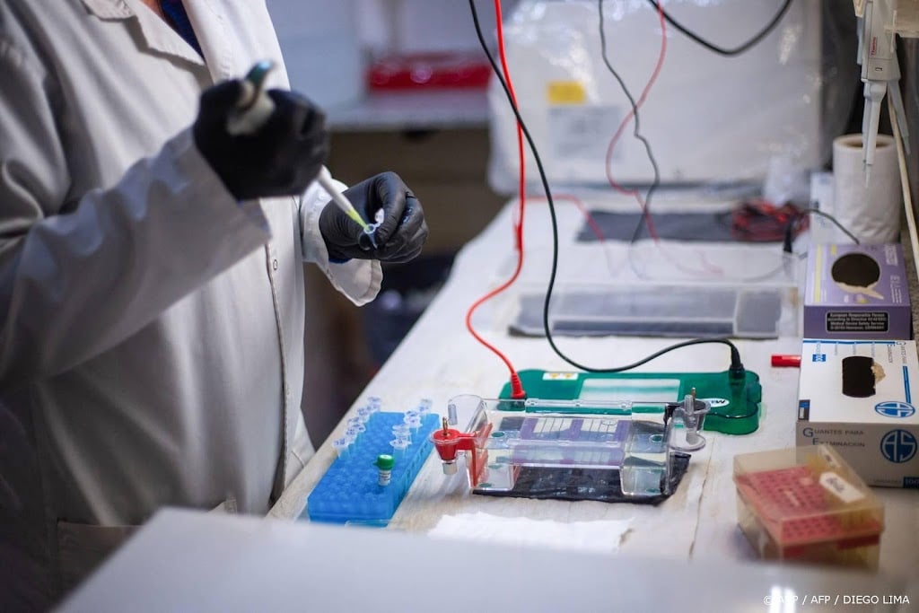 WHO: risico op hantavirus voor wereldbevolking blijft laag