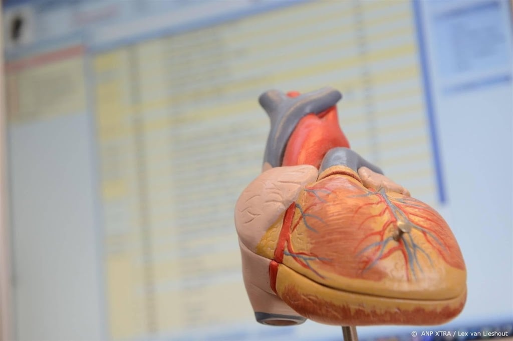 Ziekenhuis neemt maatregelen tegen sjoemelende cardiologen