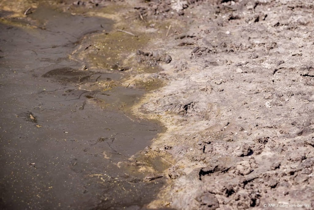Waterverbod in Limburg en Midden-Brabant uitgebreid om droogte