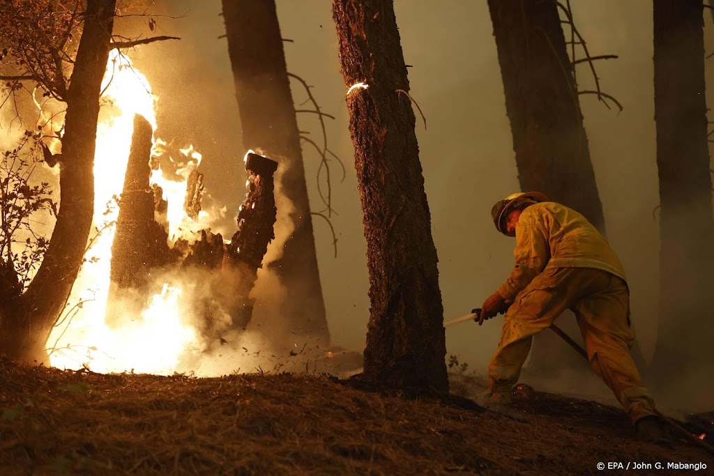 Evacuaties door bosbranden in Spanje en Griekenland