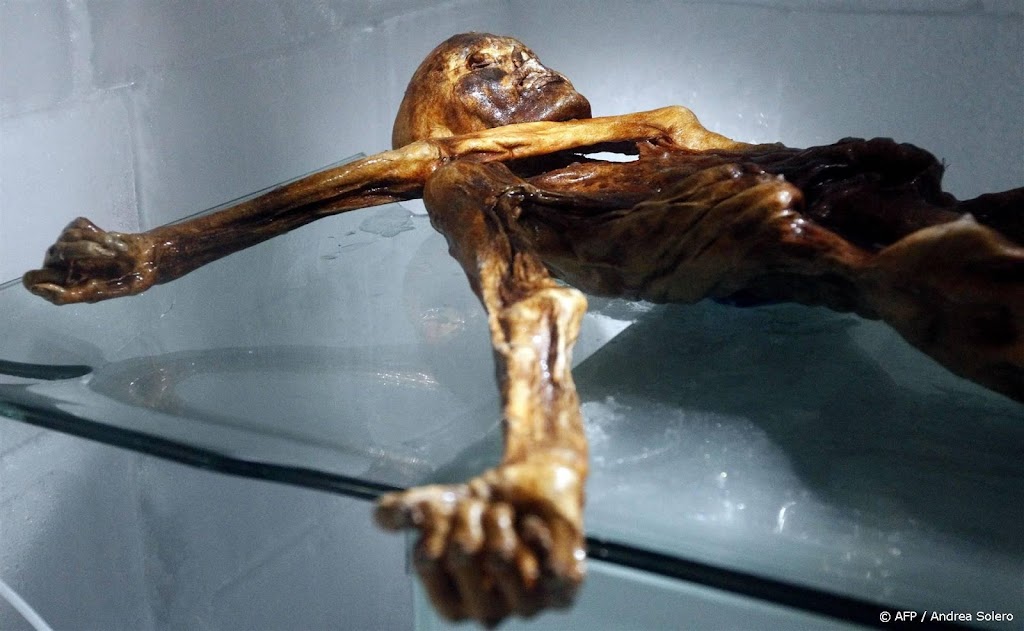 Nieuw DNA-onderzoek: Ötzi was kalend en had donkere huidskleur