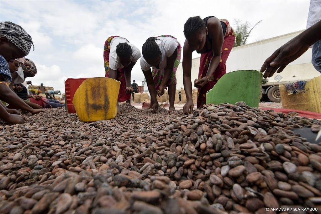 Ghana verliest 160.000 ton cacao aan smokkelaars in twee jaar