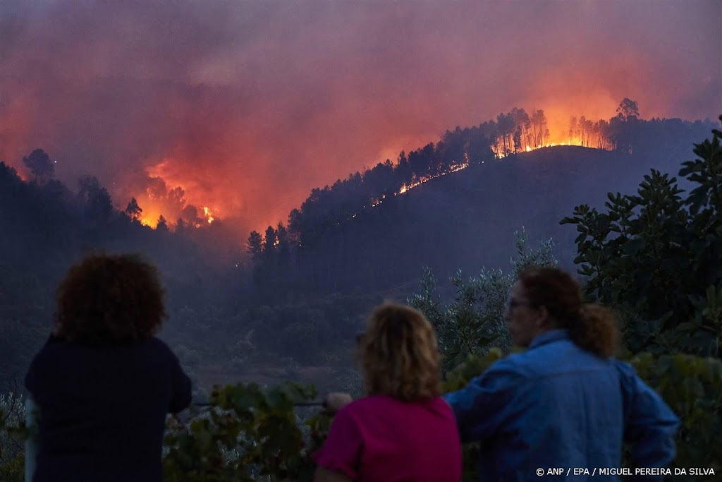 Portugal vraagt hulp Europa bij bestrijding natuurbranden