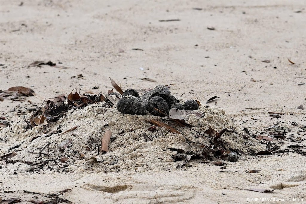 Sydney sluit stranden na aanspoelen mysterieuze 'teerballen'