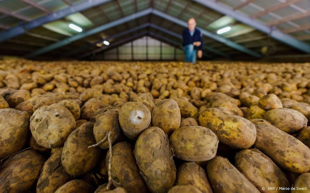 Supermarkten stappen over op resistente biologische aardappelen