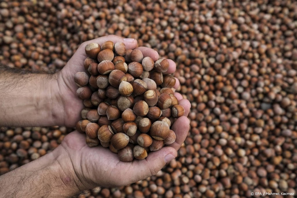 Turkse boeren boos om hazelnotenmonopolie Nutella-maker Ferrero 