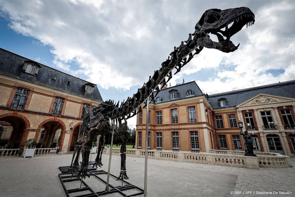 Gigantische dino geveild voor 6 miljoen