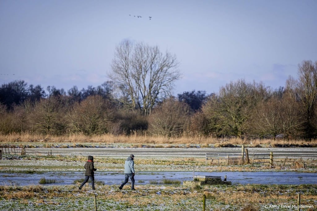 Lokaal eerste vorst van najaar gemeten, meldt Buienradar