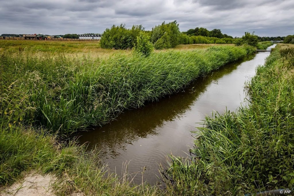 Artsen vragen in brief aan informateur om PFAS-verbod 