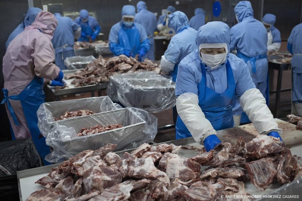 Nederlandse vleessector ontkent prijsdumping varkensvlees