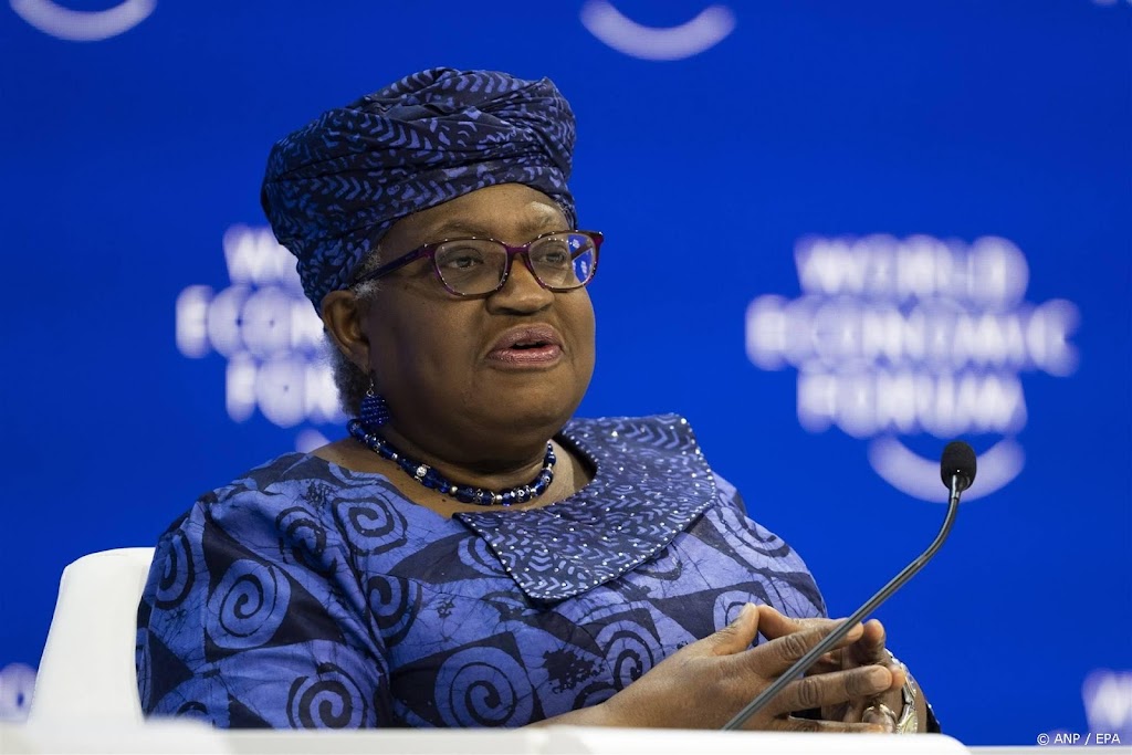 Hoofd WTO 'minder optimistisch' over wereldhandel door Rode Zee