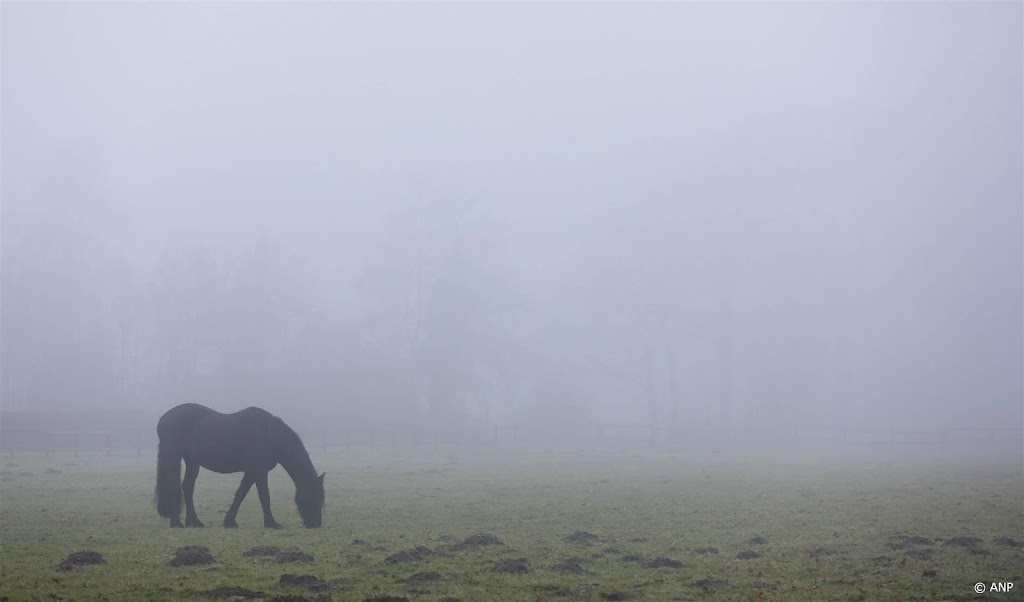 Mist zorgt voor code geel in het hele land