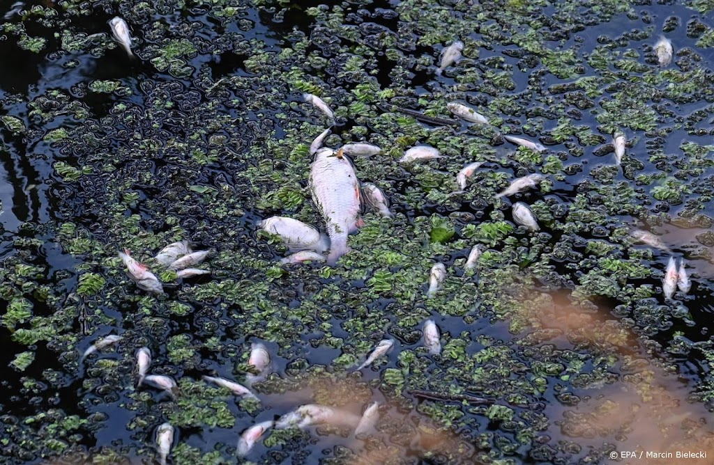 EU-rapport wijt natuurramp Duits-Poolse rivier mede aan afvalwater