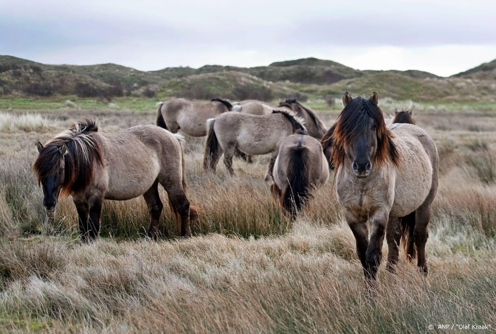 Waddeneilanden voorlopig niet op slot voor toeristen
