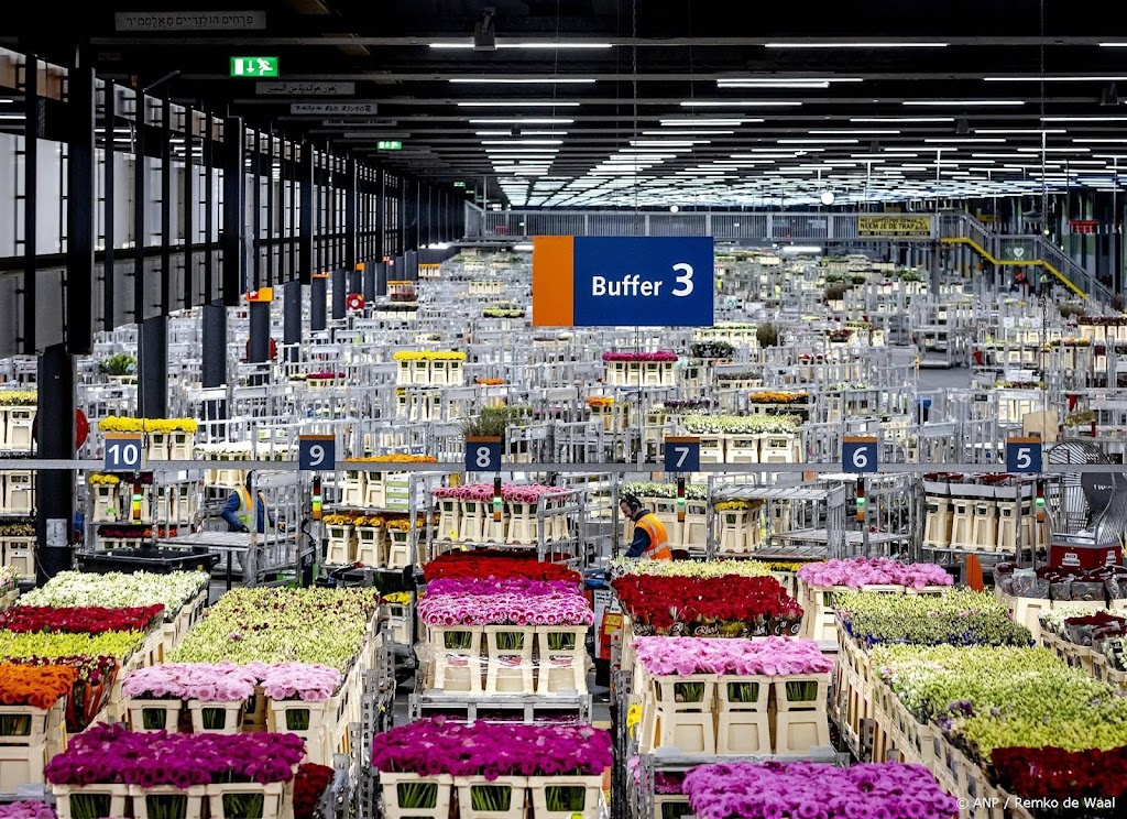 Bloemen- en plantenexport groeit weer na zeven kwartalen krimp