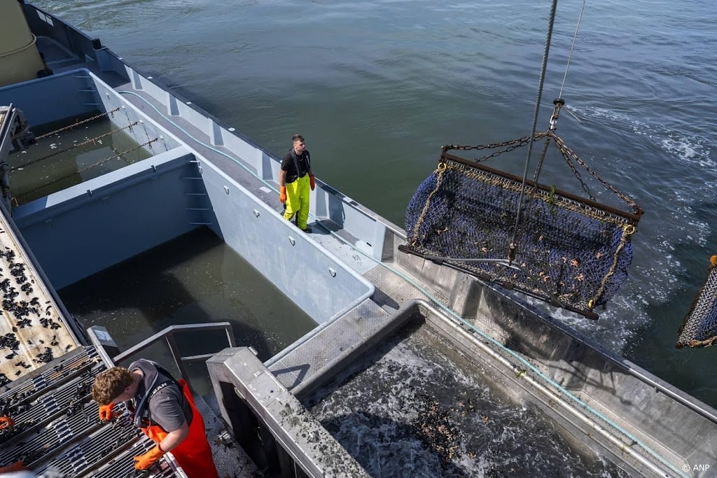 Brussel stelt 760 miljoen euro beschikbaar voor hulp aan vissers