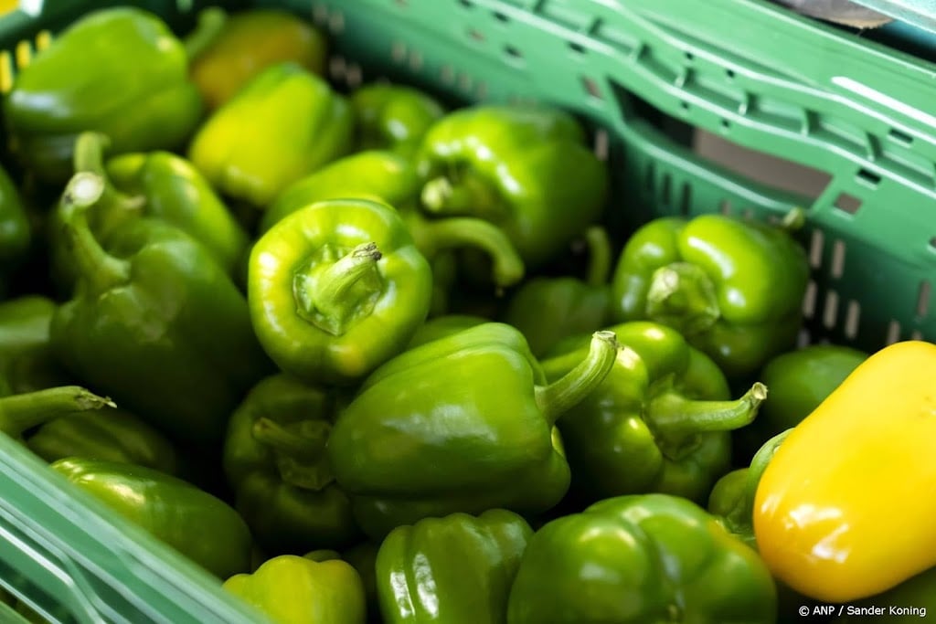 Aanbieder schoollunches TommyTomato maakt doorstart