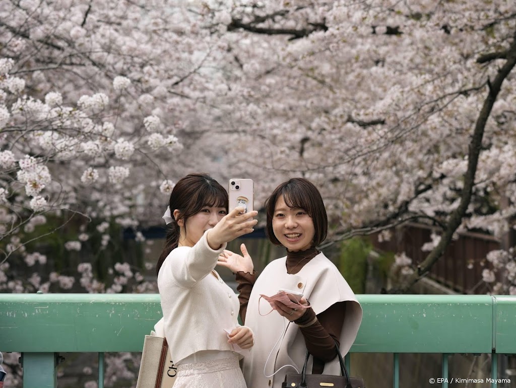 Japan gaat mondjesmaat weer toeristen toelaten 