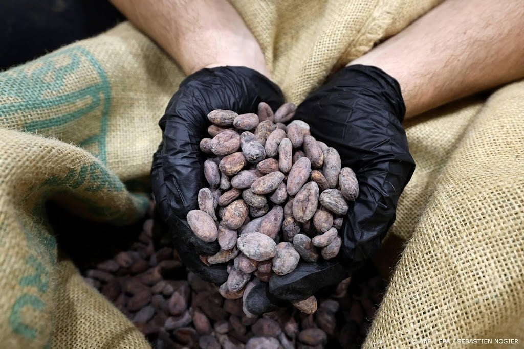 Bloomberg: Europese cacaofabrieken vermalen opnieuw minder bonen
