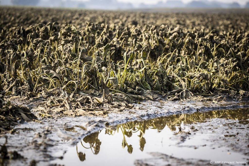 Toch compensatie voor alle boeren na waterschade Limburg