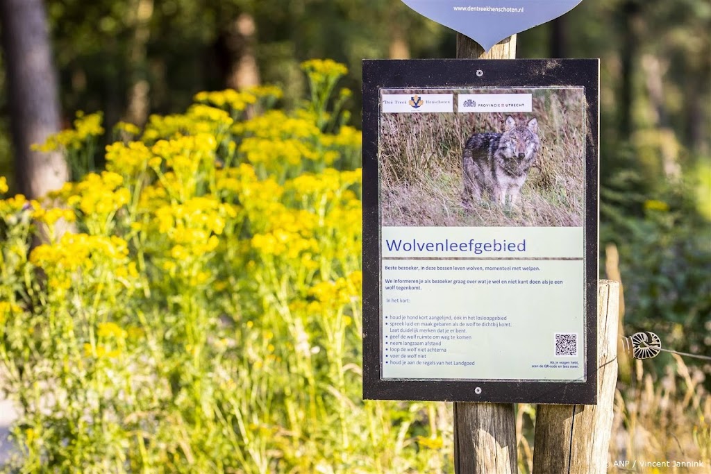 Gelderland bepleit nieuw en stevig Europees beleid voor wolf