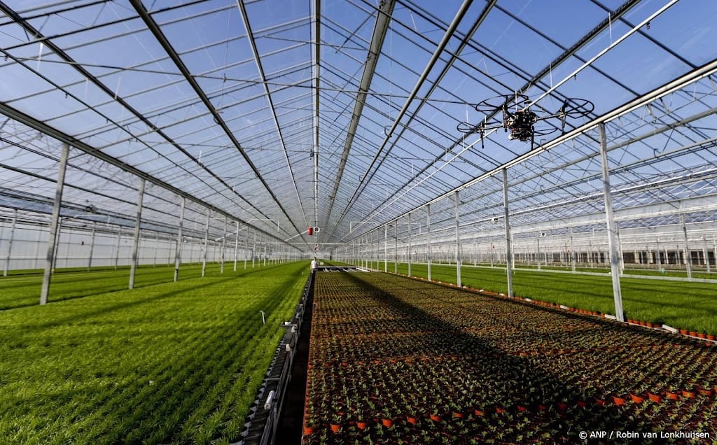 Plantenbedrijf Bunnik Group stopt, 160 medewerkers verliezen baan