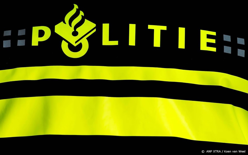 Aanhoudingen bij corona-demonstratie in Den Bosch