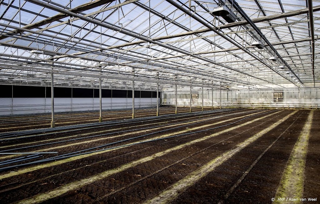 Glastuinbouw: Haagse energiesteun helpt 'niet tot zeer marginaal'