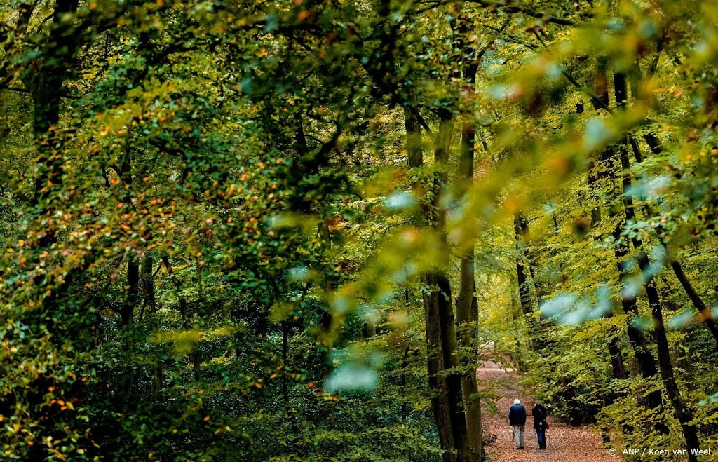 Gelderland wil 1 miljoen bomen en 1700 hectare nieuw bos planten