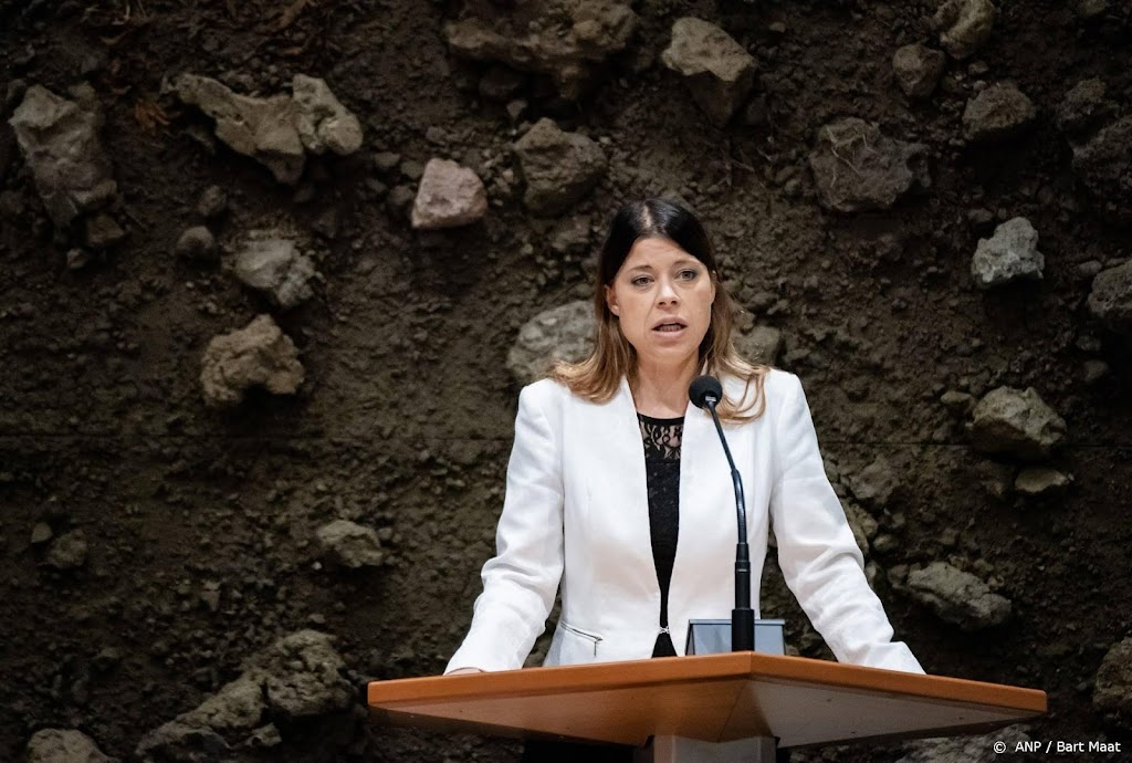 CDA en GroenLinks: haal woord 'krankzinnig' uit wet BES-eilanden