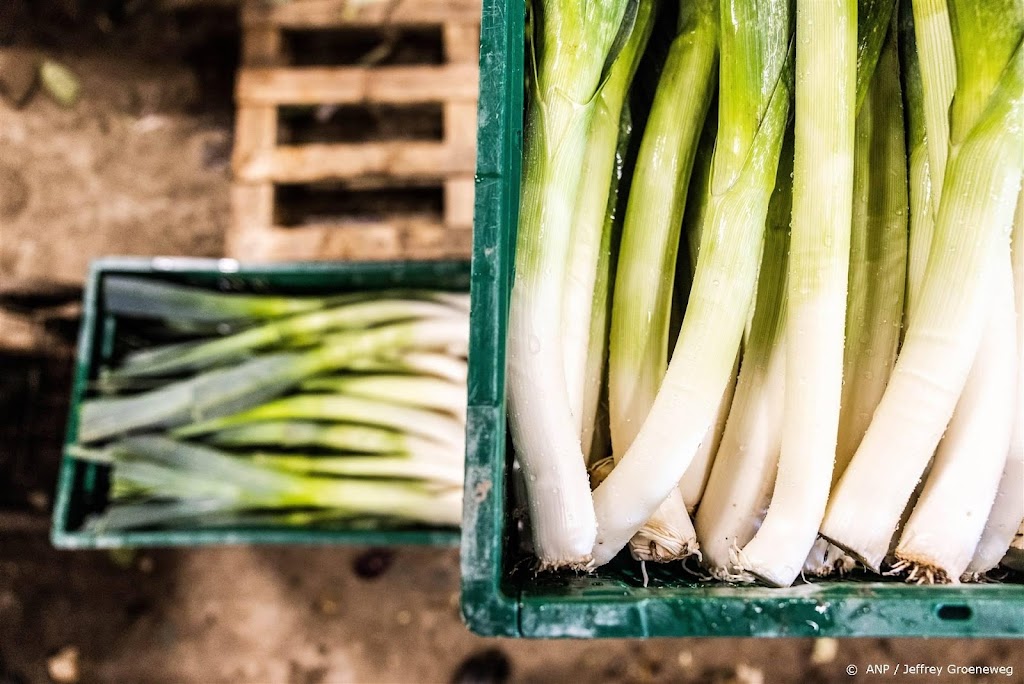 Biologische landbouw groeit, maar Nederland loopt wel achter