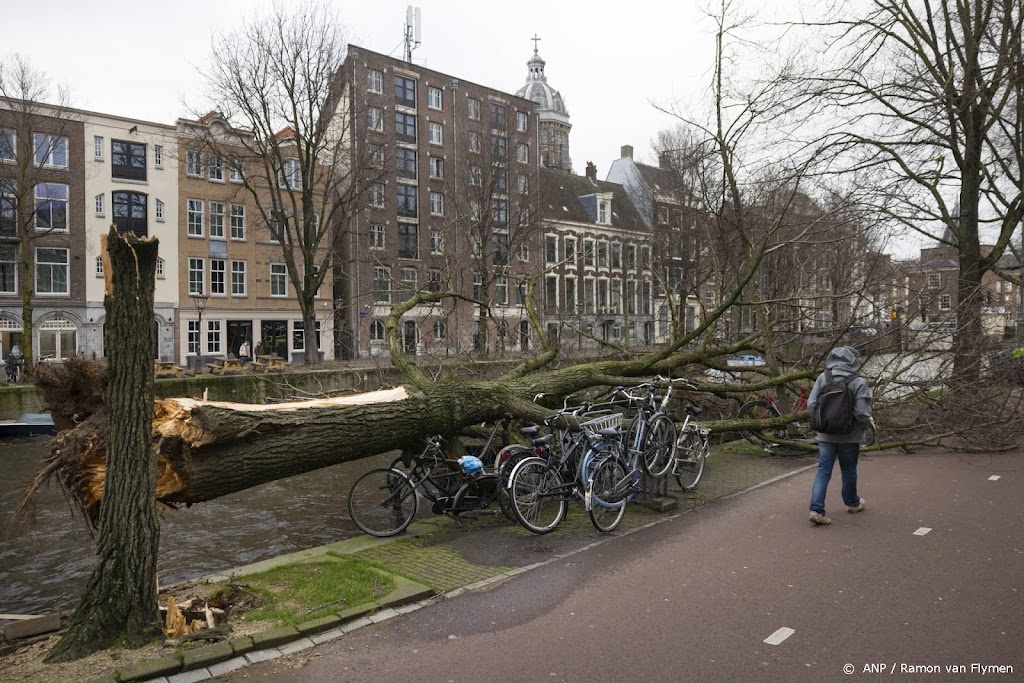 Derde dode door storm Eunice: fietser komt onder boom