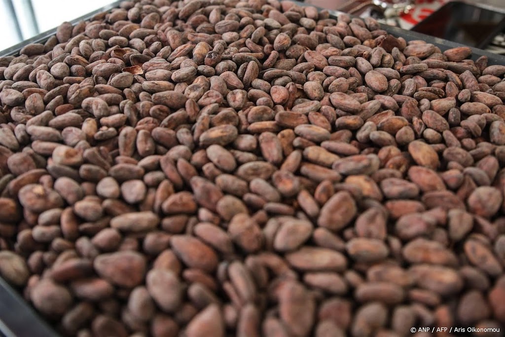 Cacaoboeren gaan in Brussel protesteren tegen lage prijzen  