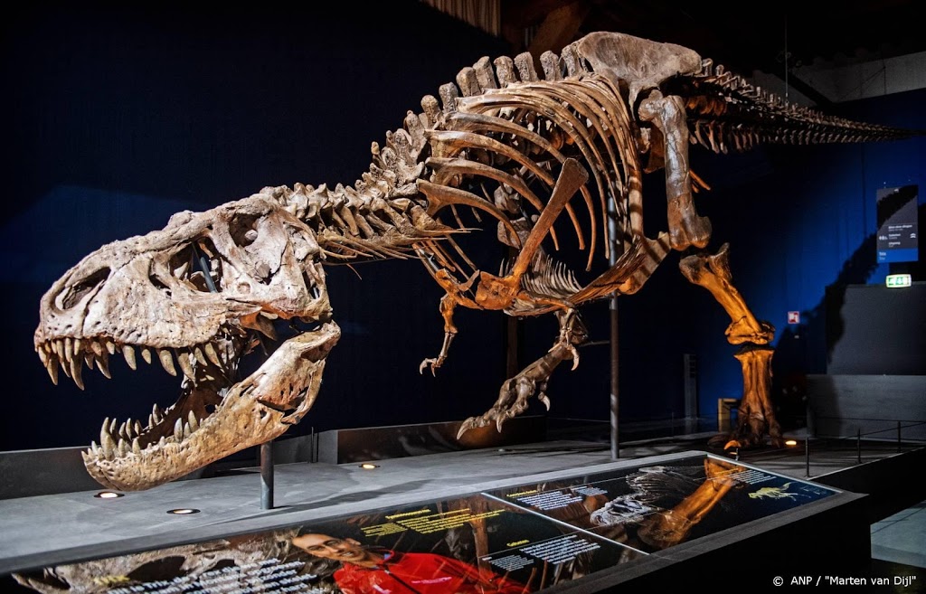Museuminbreker in Sydney maakt selfies met dino-schedel