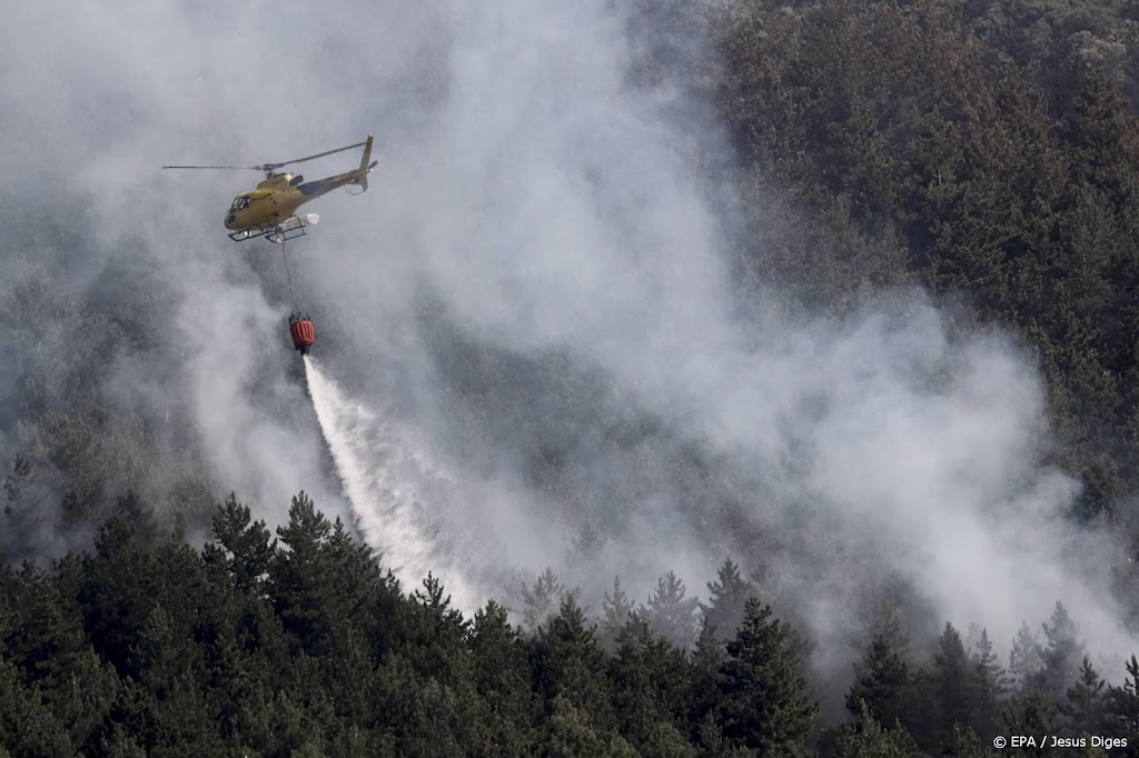Al 20.000 hectare bos afgebrand in noordwesten Spanje
