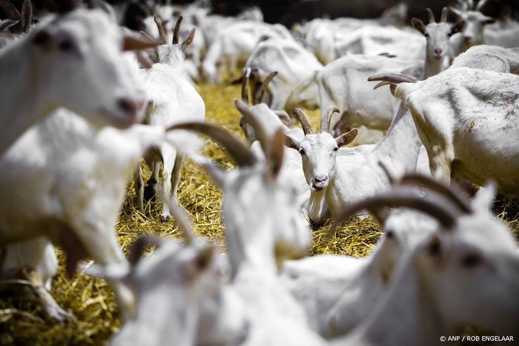 Kamerleden willen dierenwelzijn doorschuiven naar nieuw kabinet