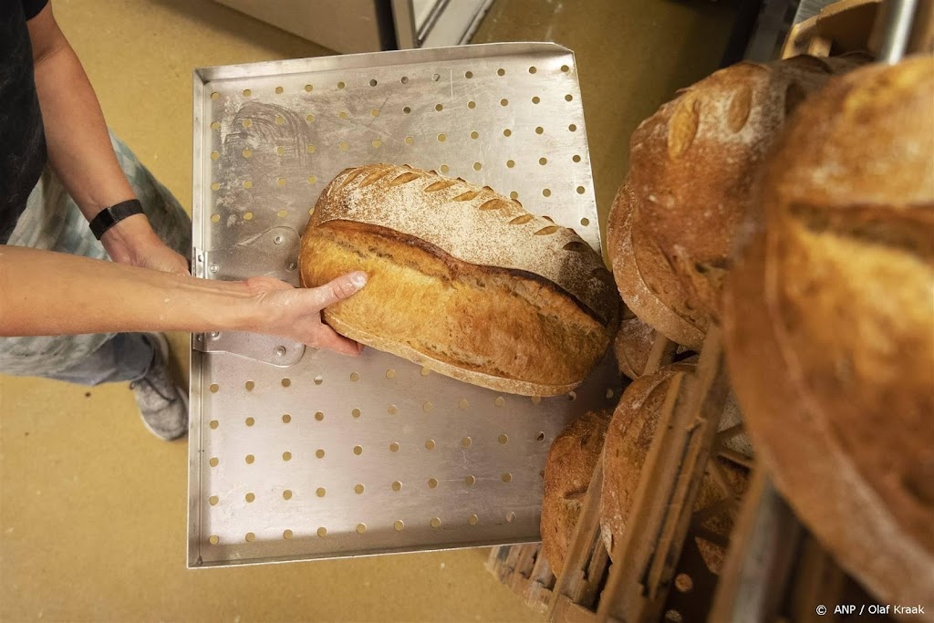 Bakkers: brood niet duurder na vervallen graandeal