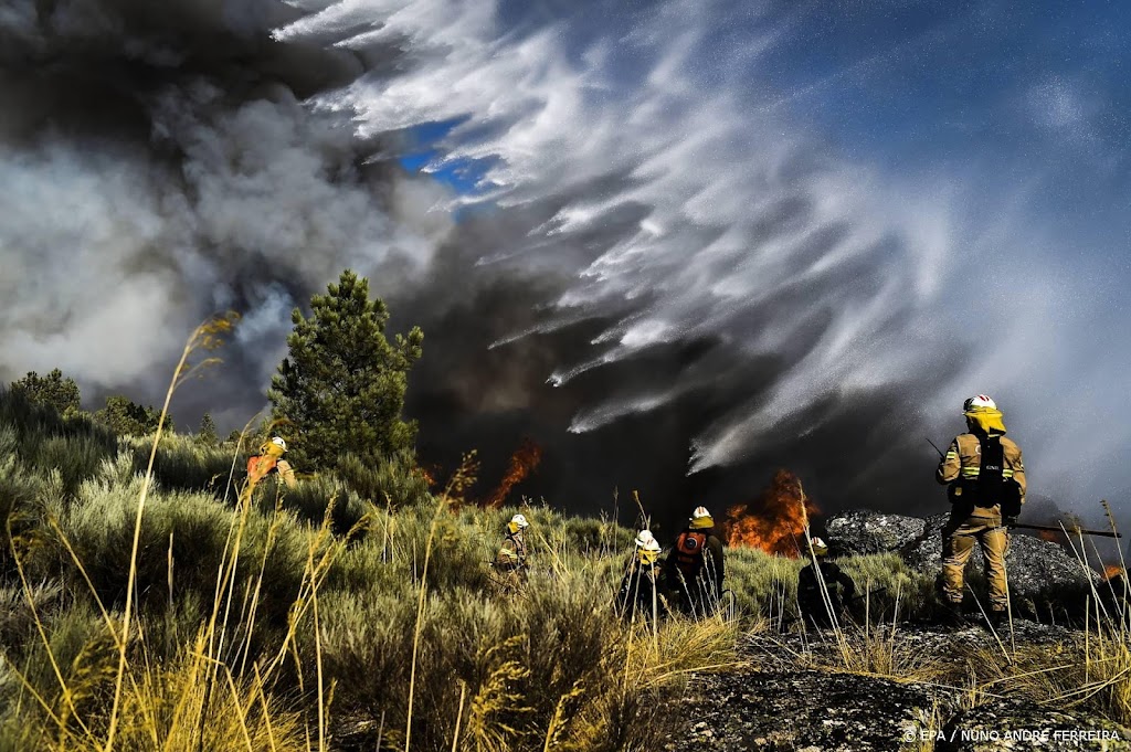 Enorme bosbrand Portugal onder controle