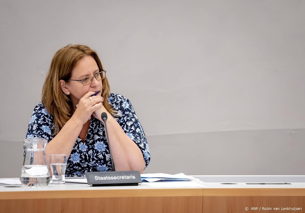 Bedrijfsleven: staatssecretaris moet IT-problemen douane oplossen