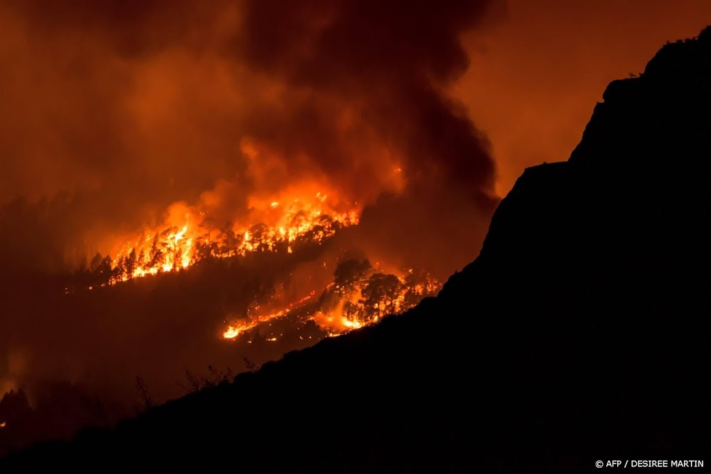 Brandweer boekt vooruitgang bij bestrijden branden op Tenerife